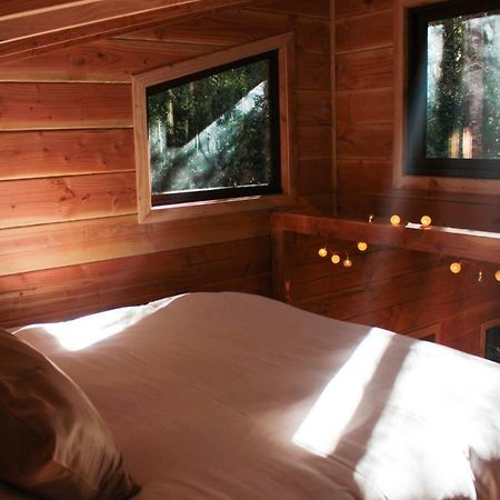 Cabanas Bosque Milenario Conaripe Luaran gambar