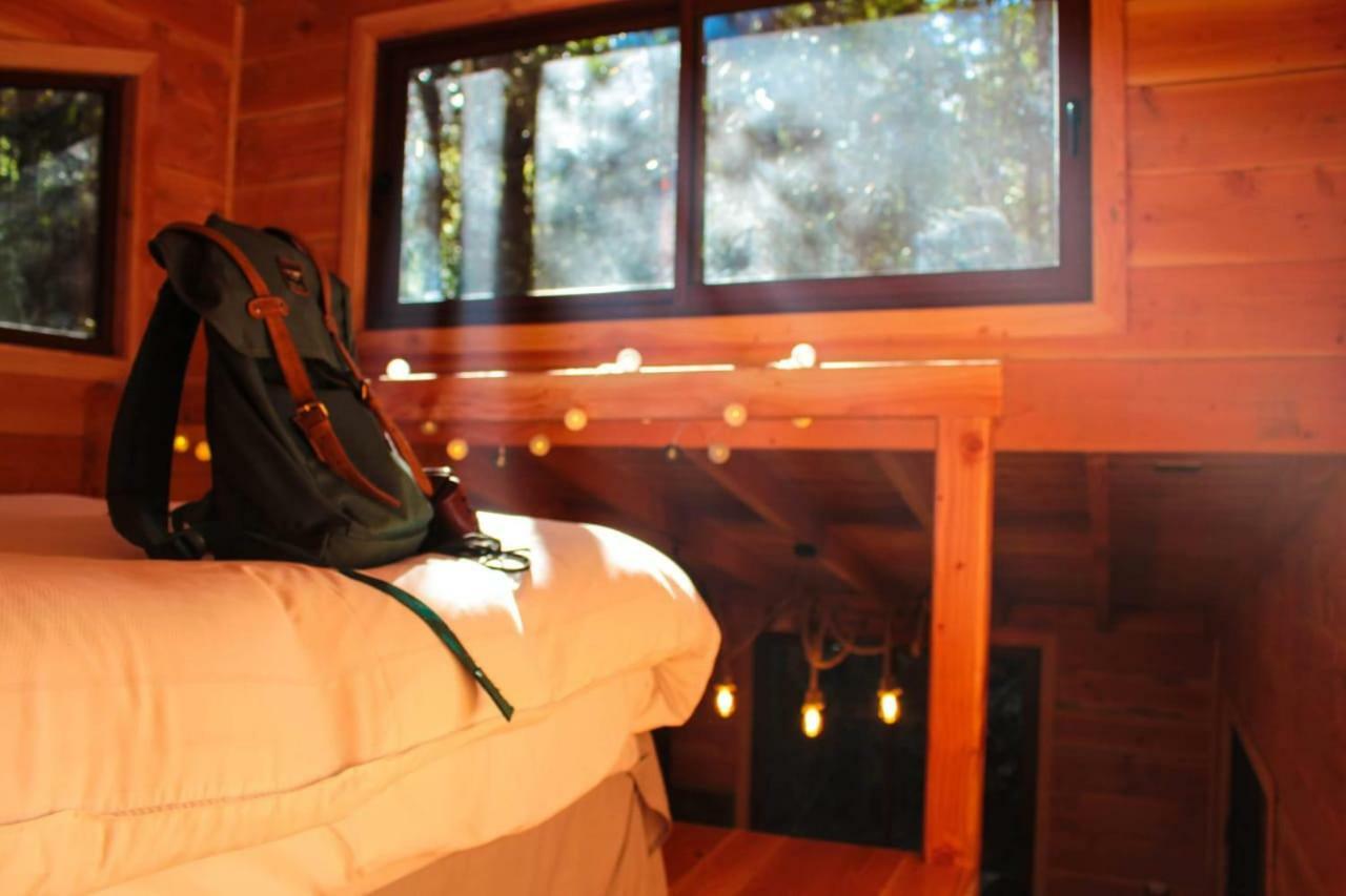 Cabanas Bosque Milenario Conaripe Luaran gambar