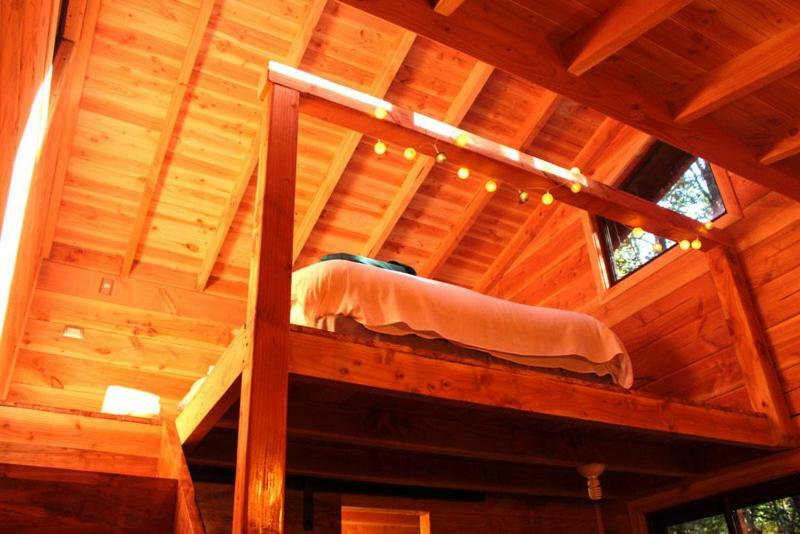 Cabanas Bosque Milenario Conaripe Luaran gambar