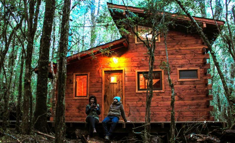 Cabanas Bosque Milenario Conaripe Luaran gambar