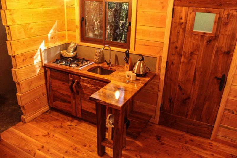 Cabanas Bosque Milenario Conaripe Luaran gambar