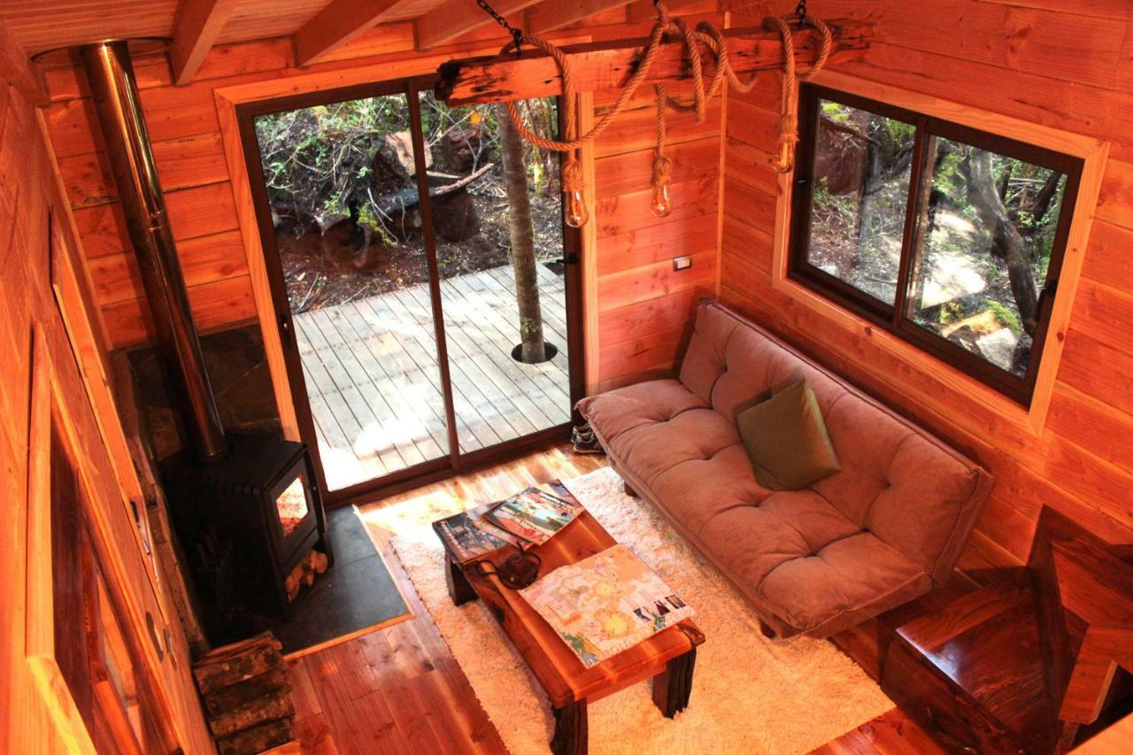 Cabanas Bosque Milenario Conaripe Luaran gambar