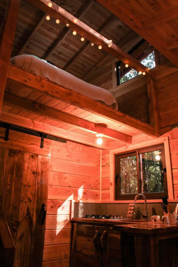Cabanas Bosque Milenario Conaripe Luaran gambar