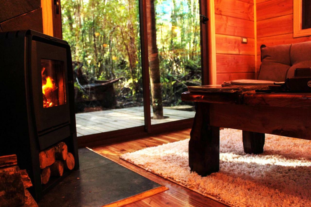 Cabanas Bosque Milenario Conaripe Luaran gambar